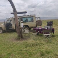masai mara safari 4x4 jeep car hire