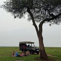 4x4 safari car hire masai mara