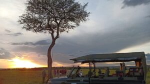 Book a Safari Vehicle for Masai Mara |